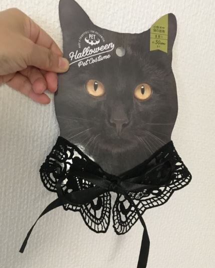 キャプチャ