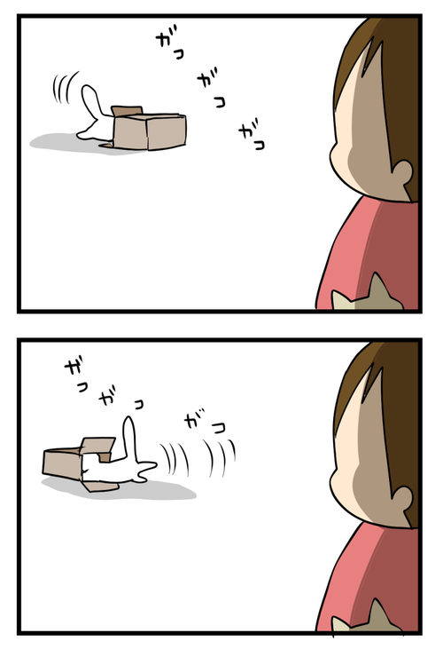 はこ2