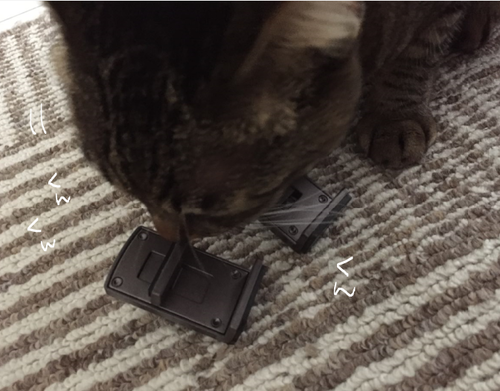 キャプチャ