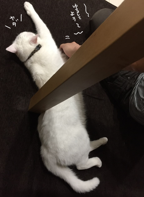 キャプチャ
