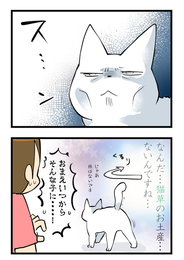 買い物から帰ると2