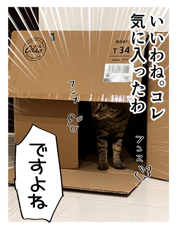 新しいキャットタワー2