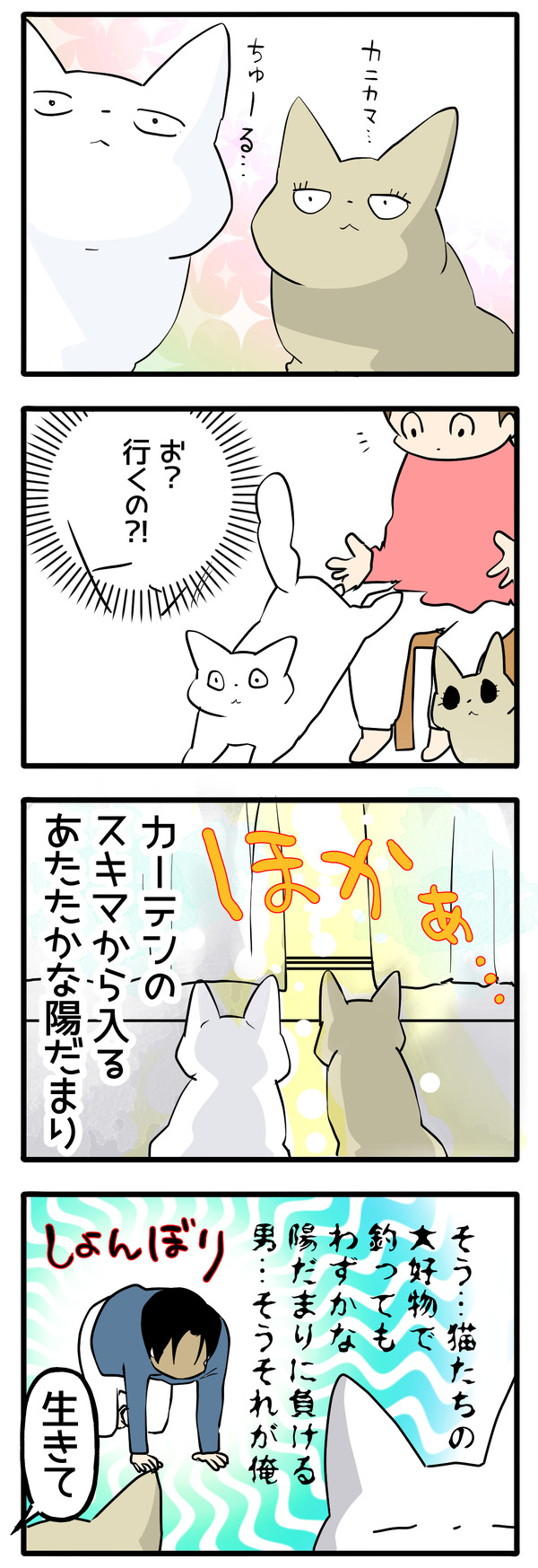 日差しに負ける男2