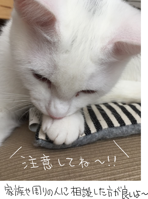 キャプチャ