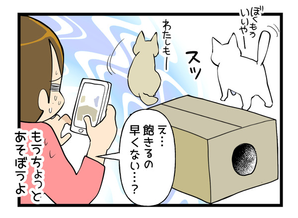 猫ホイホイ箱2