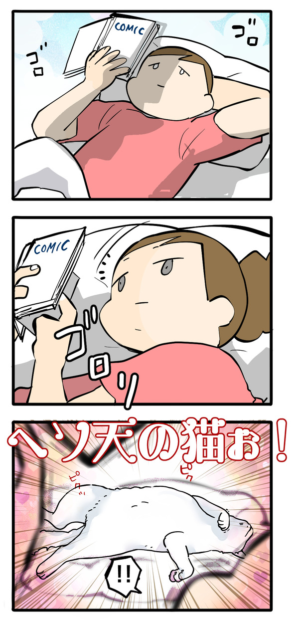 撮りたい写真が撮れない話