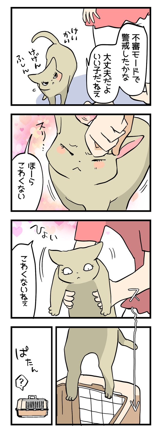 グリさんの通院捕獲2