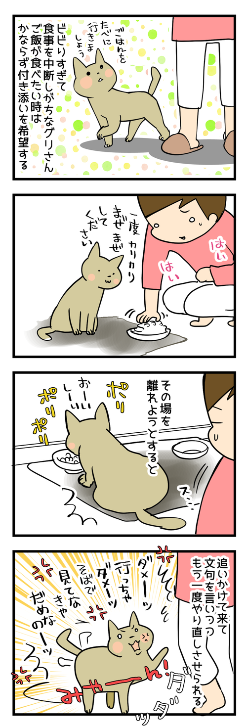グリさんのルール