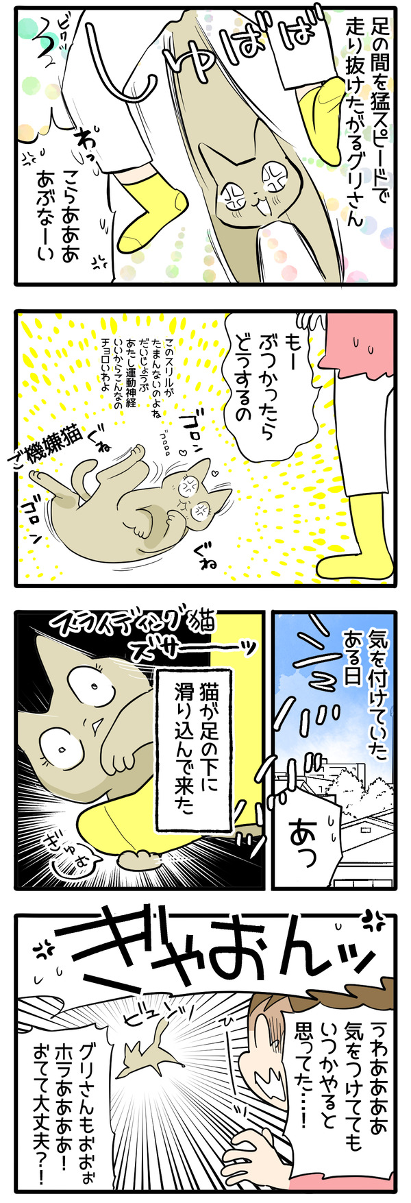 スライディング猫