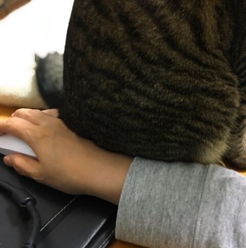 キャプチャ2