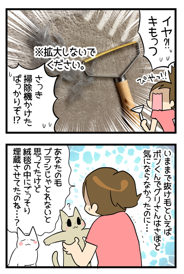 ペット用カーペットピーラー2