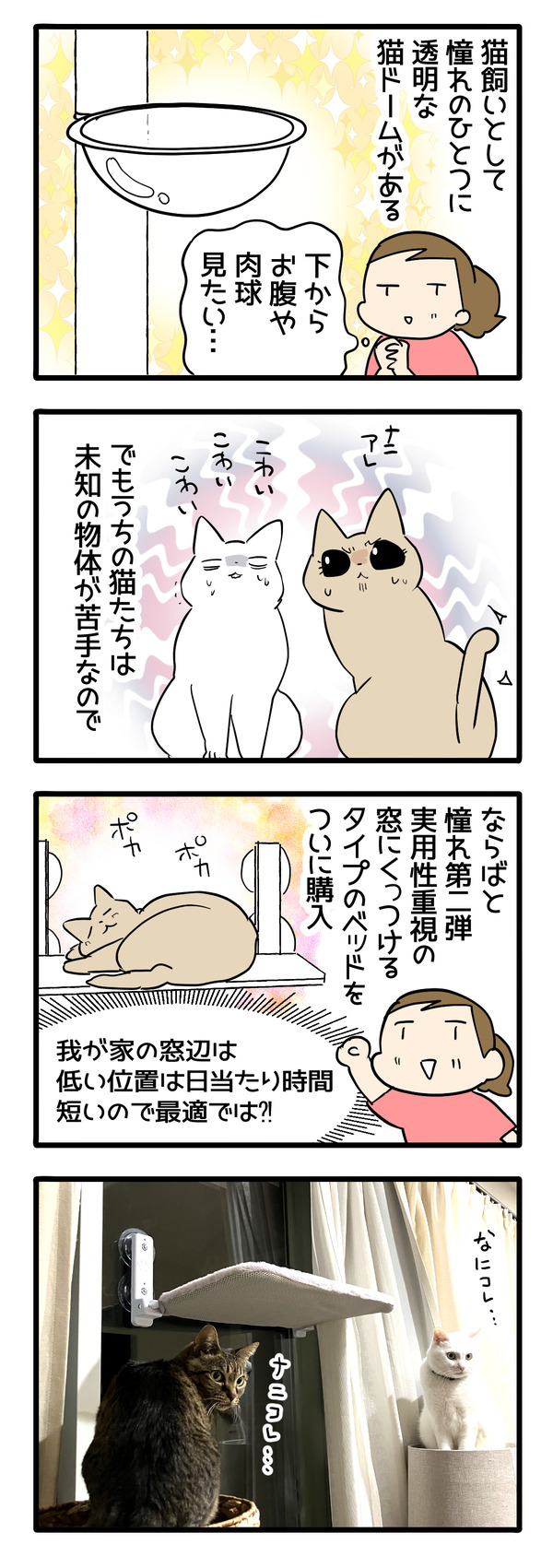 負けずに貢ぐ