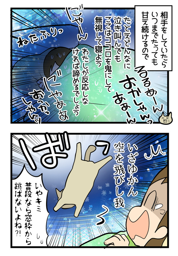 猫たちの変化3
