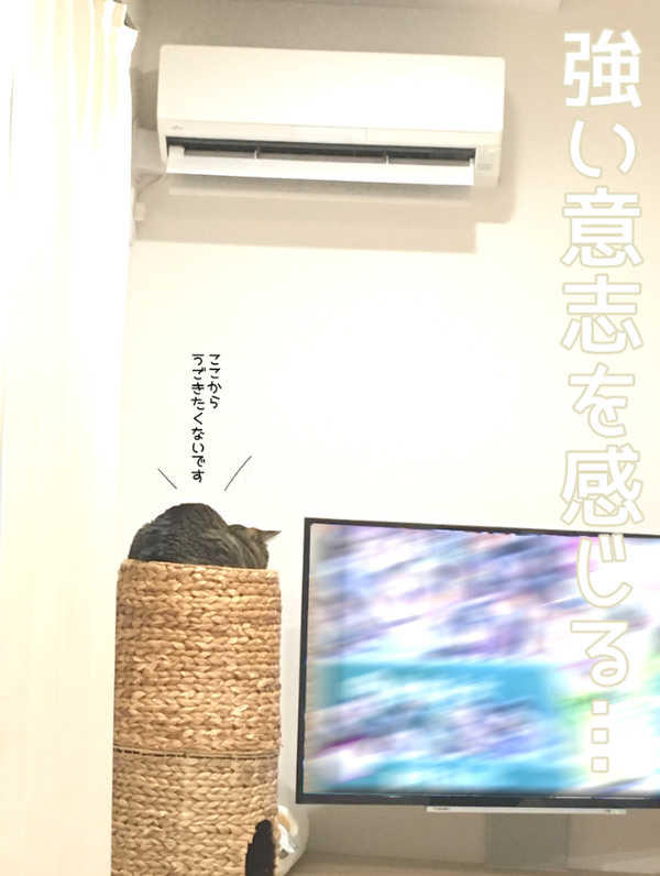 キャプチャ