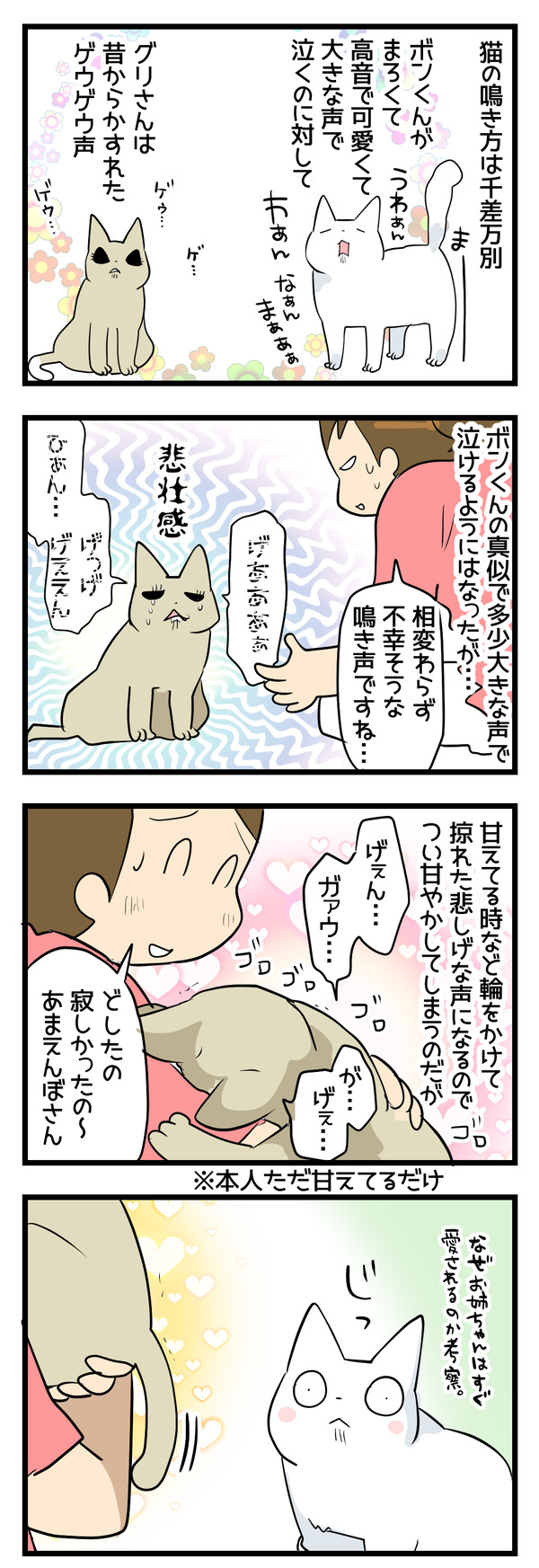 猫一瞬で学ぶ