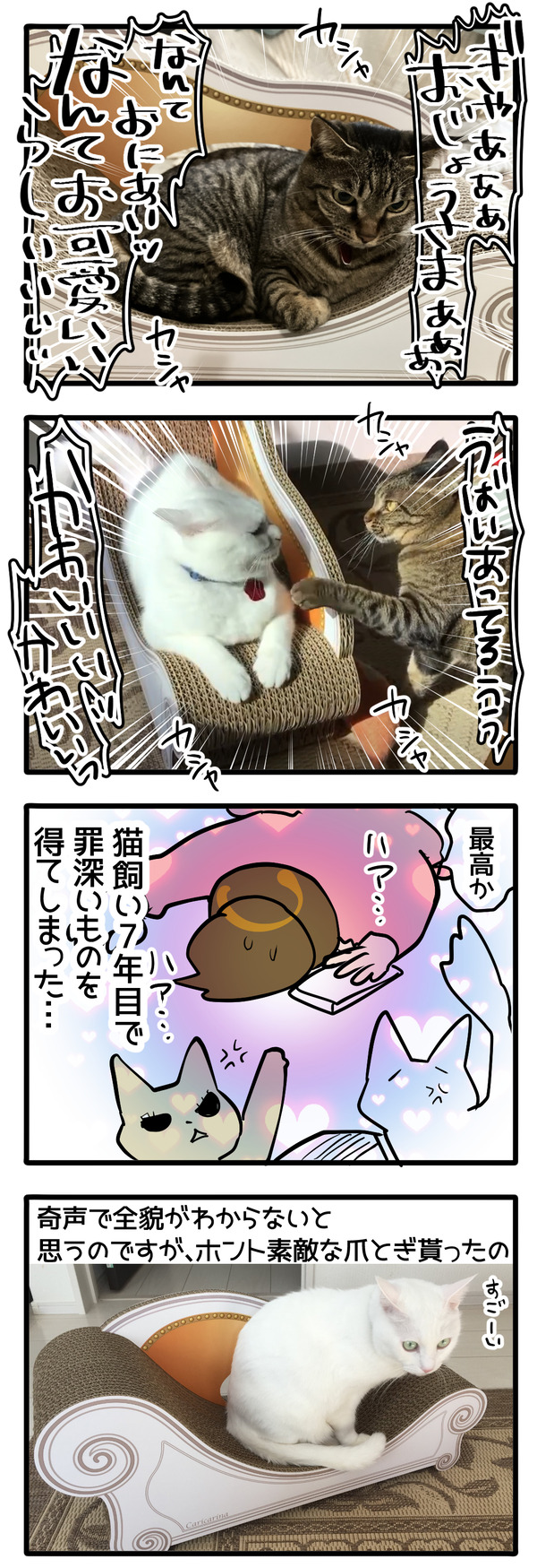 猫用爪とぎ
