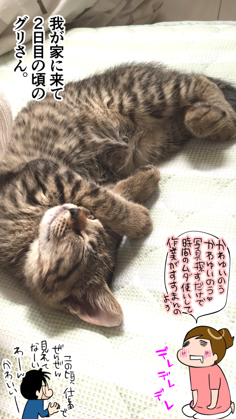 2日目のグリさん
