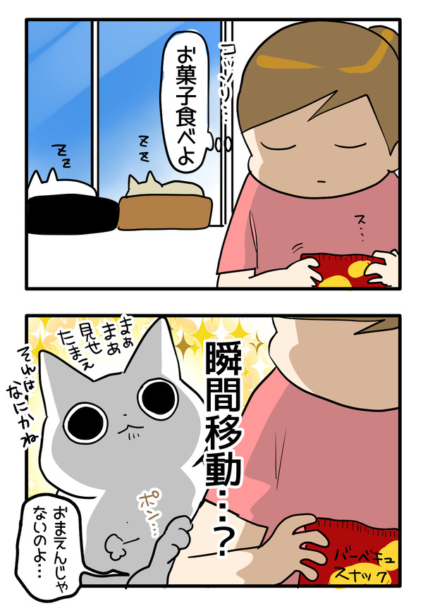 猫あるある猫漫画瞬間移動