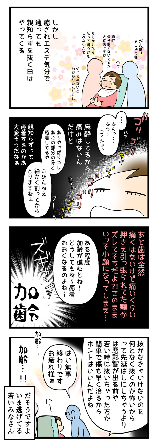 歯3