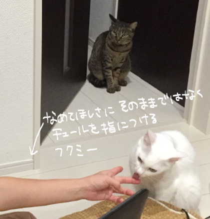 キャプチャ4