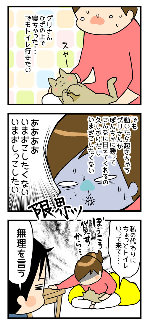 ねことトイレ
