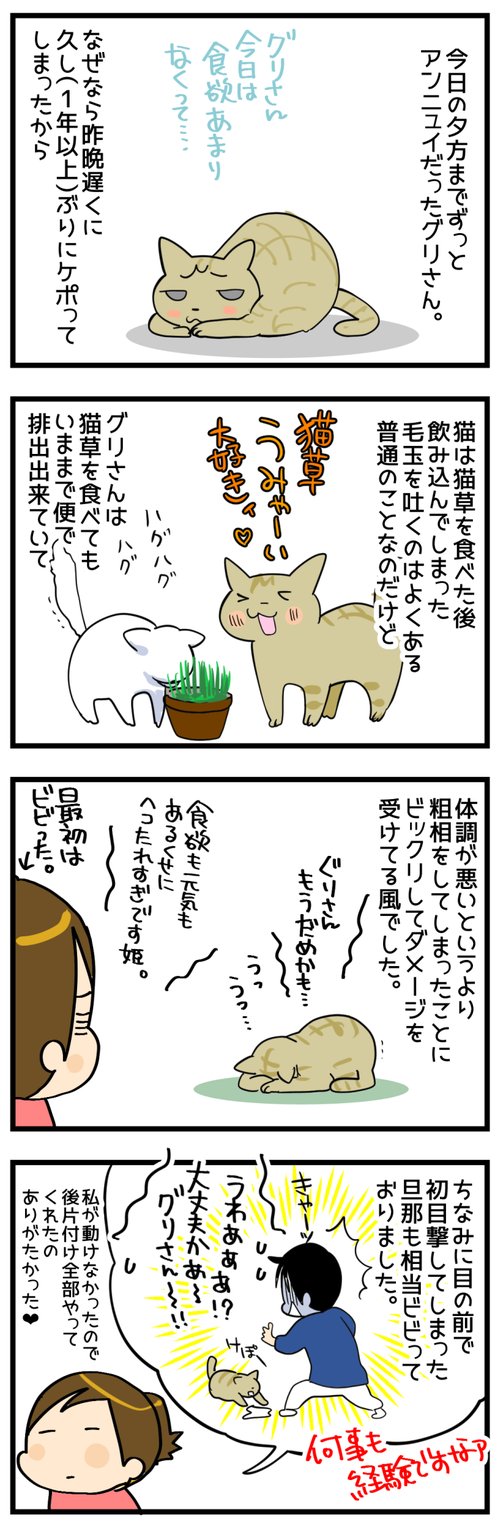 けぽるん