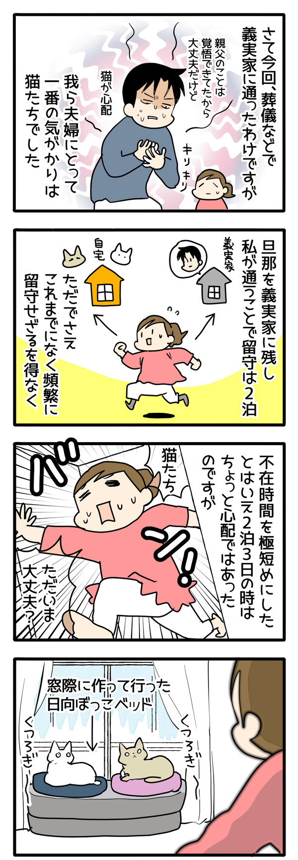 今回の猫たち1