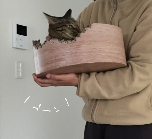 キャプチャ3
