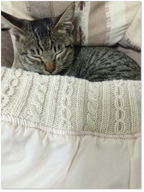 キャプチャ