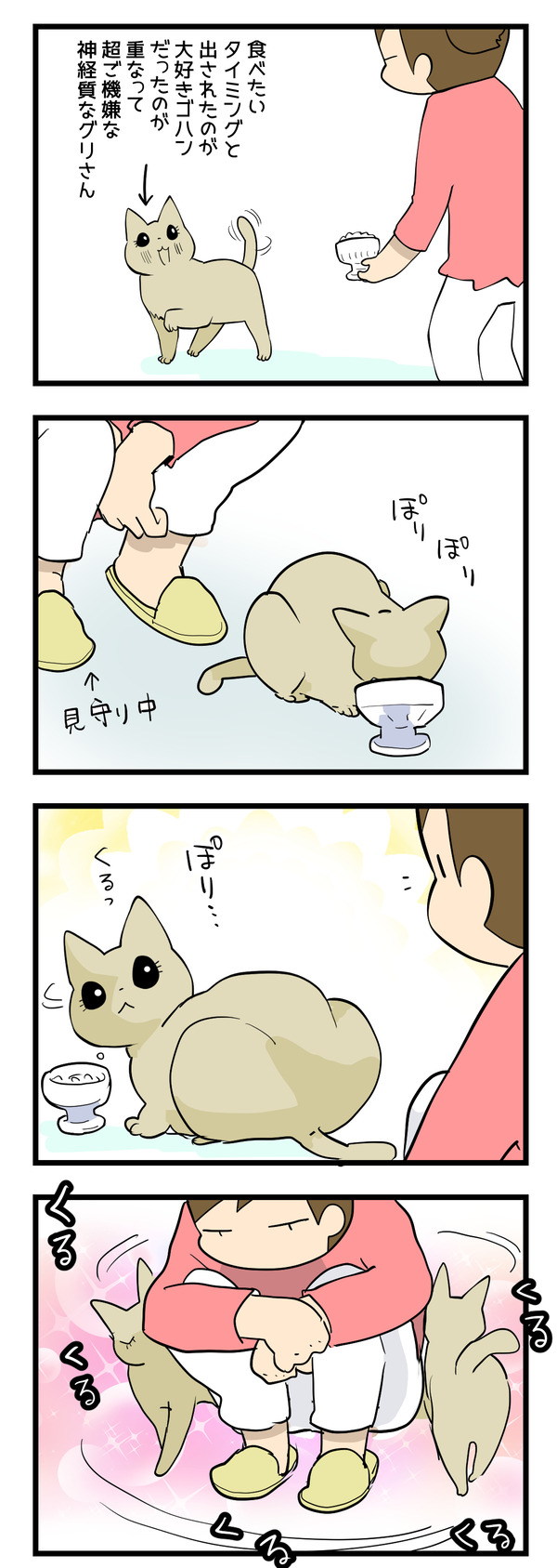 グリさんのごはん風景
