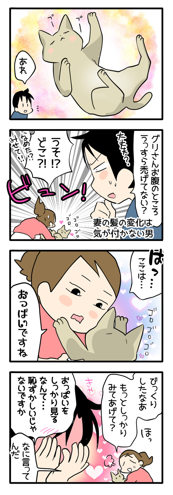 恥ずかしくて見れない