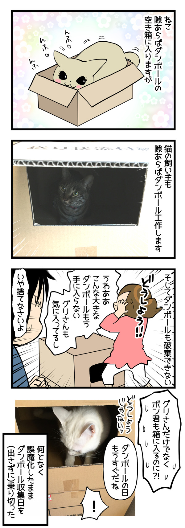 ダンボール