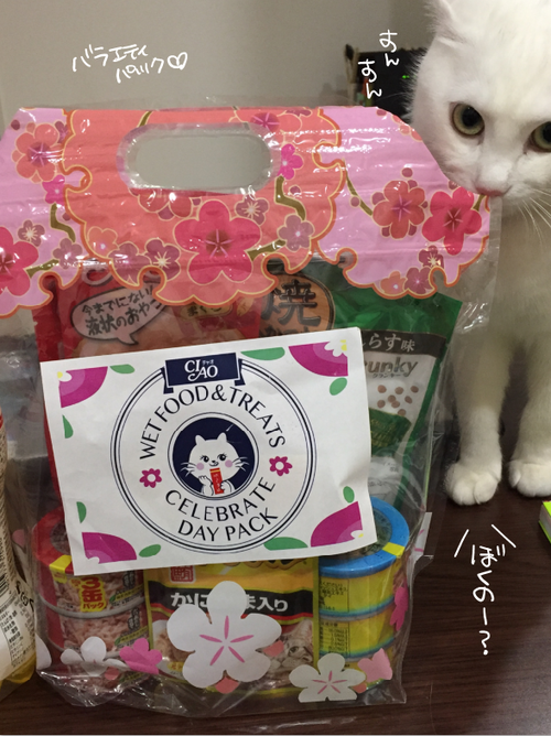 キャプチャ