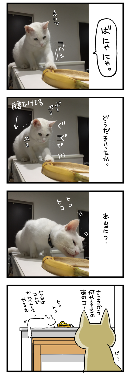 ばにゃにゃ3