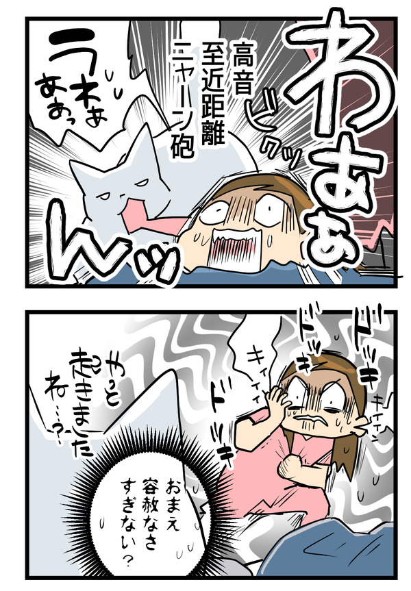 鳴けばいいと2