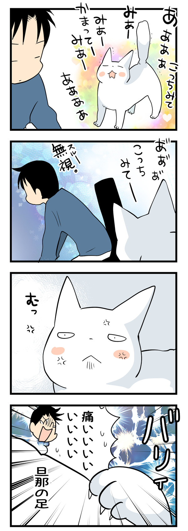 ボン監視員