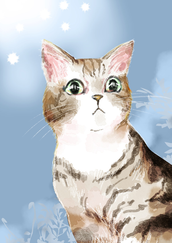 ねこちやん2
