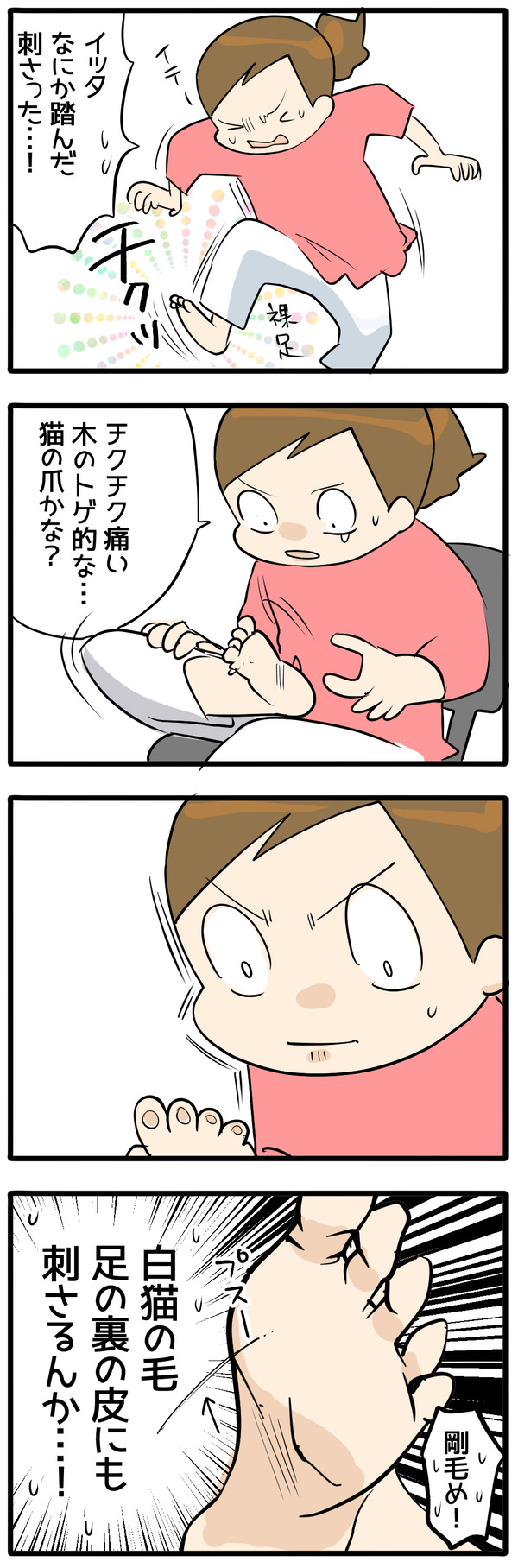 剛毛