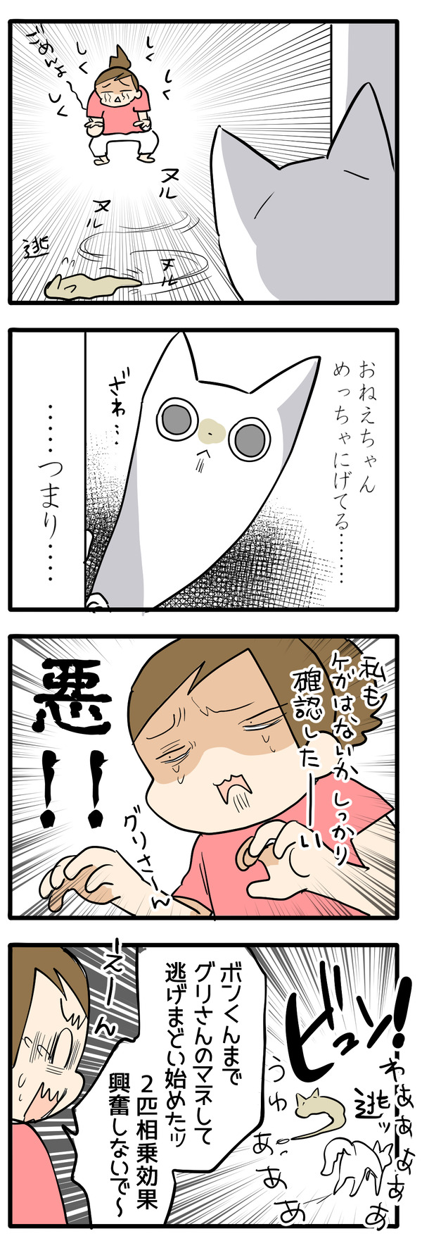 二度目の猫ふんじゃった3