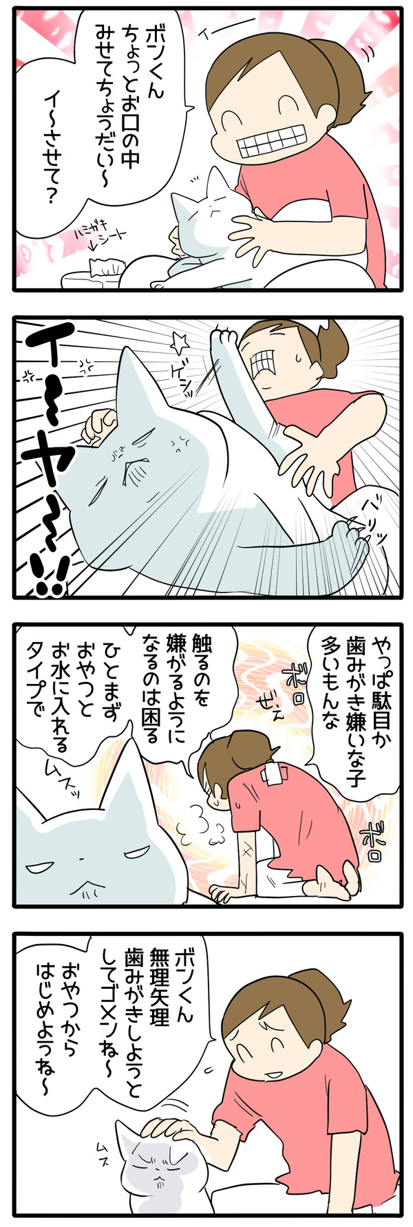 猫の歯みがき