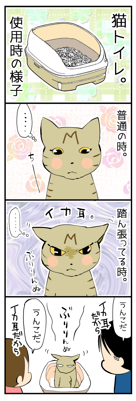 猫トイレ使用時