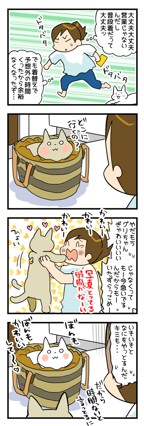 猫のお仕事