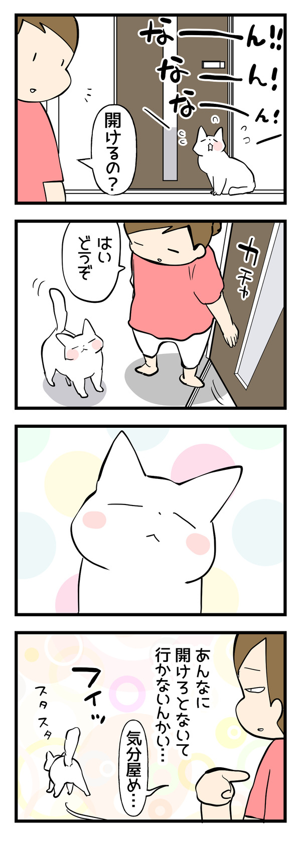 扉を開けたがるねこ