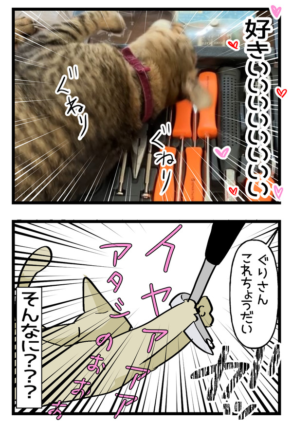 工具が好きな猫2