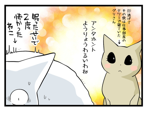 忘年会の時の猫3