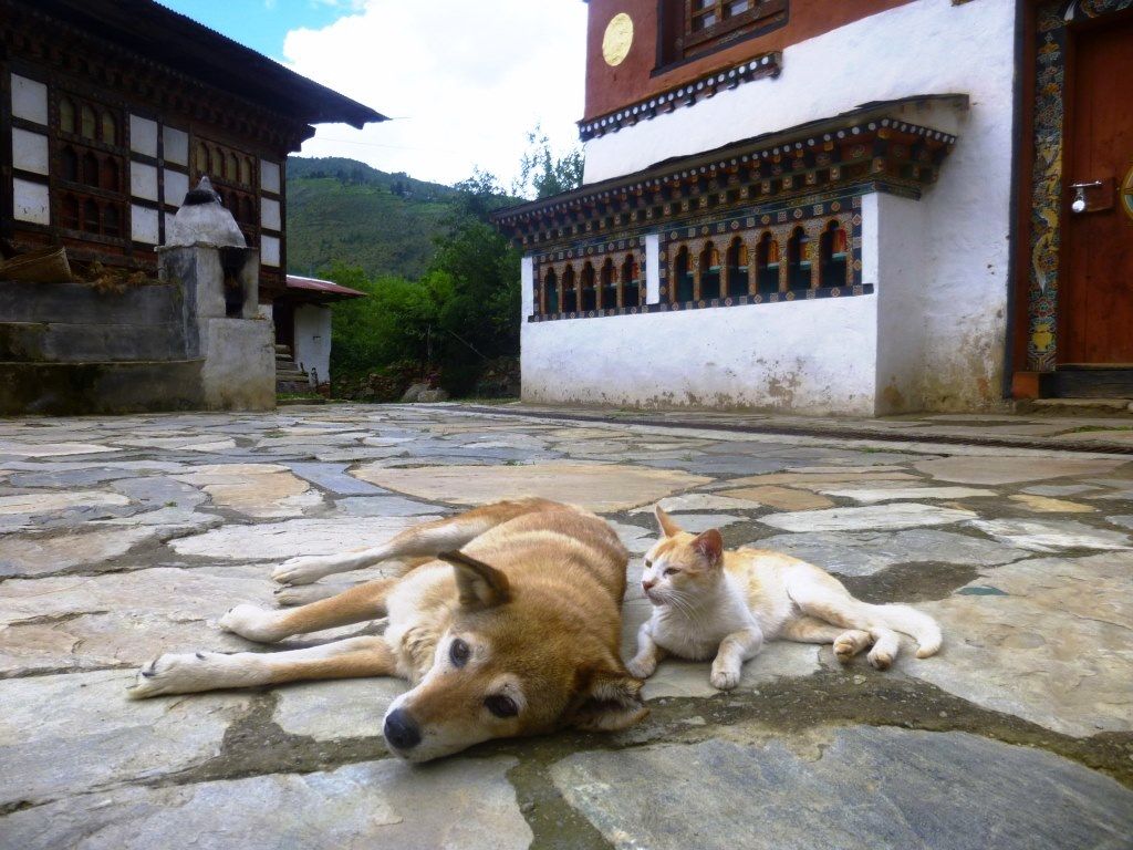 バターランプに想いをのせて・2 : ブータン・ダイアリー Bhutan