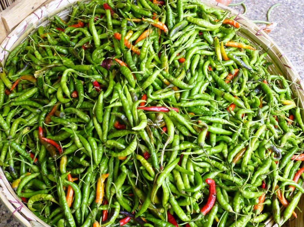 唐辛子大国ブータン : ブータン・ダイアリー Bhutan Diary