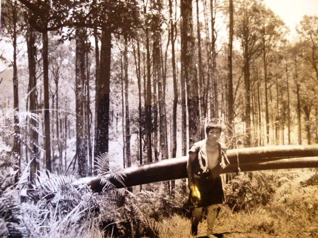 パンバンの町とダショー西岡氏 ブータン ダイアリー Bhutan Diary