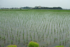 双葉町埼玉支所 旧騎西高校 A ジャパニーズ バガボンド
