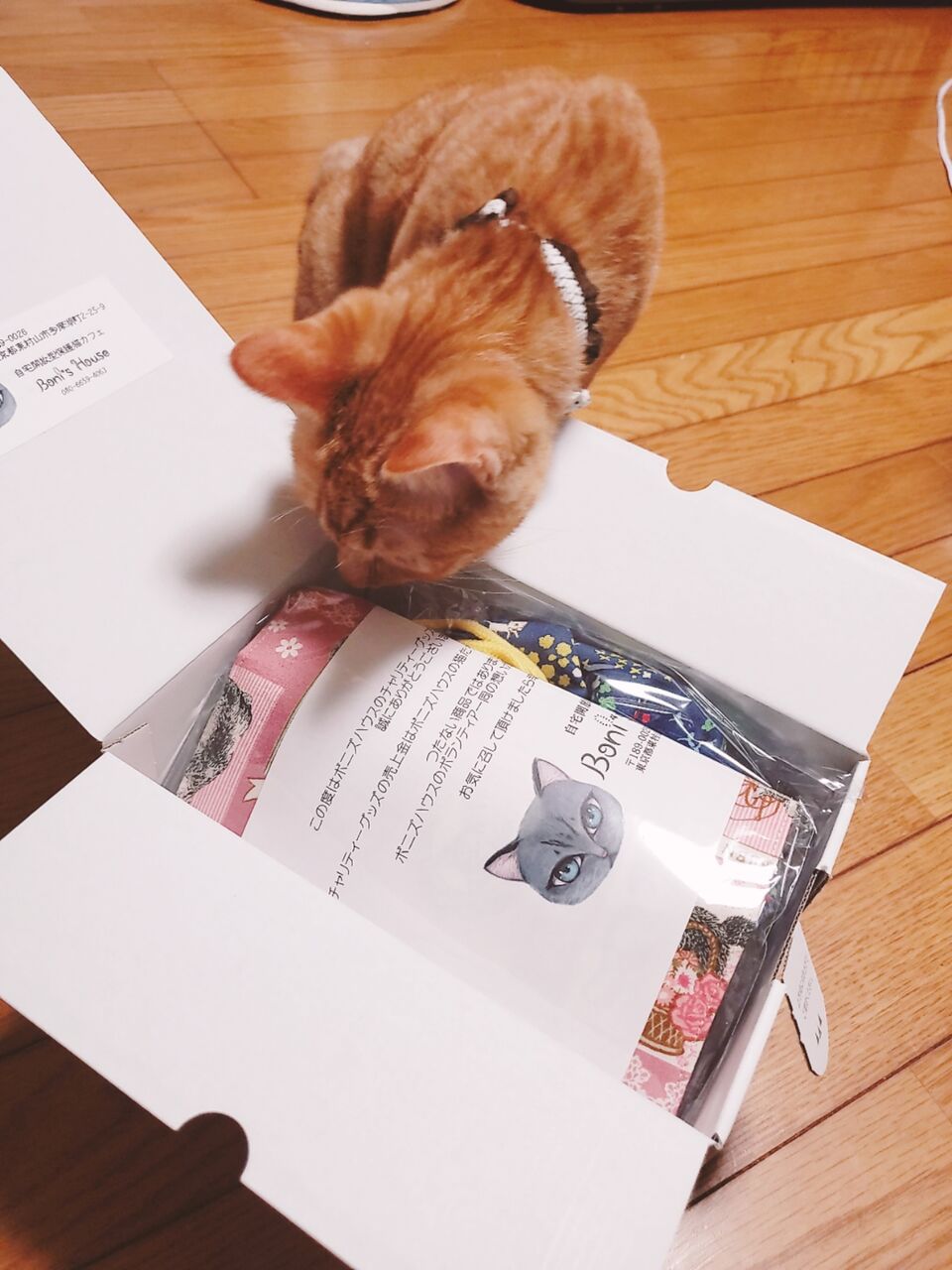 ちぐらと点心コロコロ フェイシャル専門店 Bianca びあんか がエステ初心者向きな理由 ちぐらと点心コロコロ フェイシャル専門店 Bianca びあんか がエステ初心者向きな理由